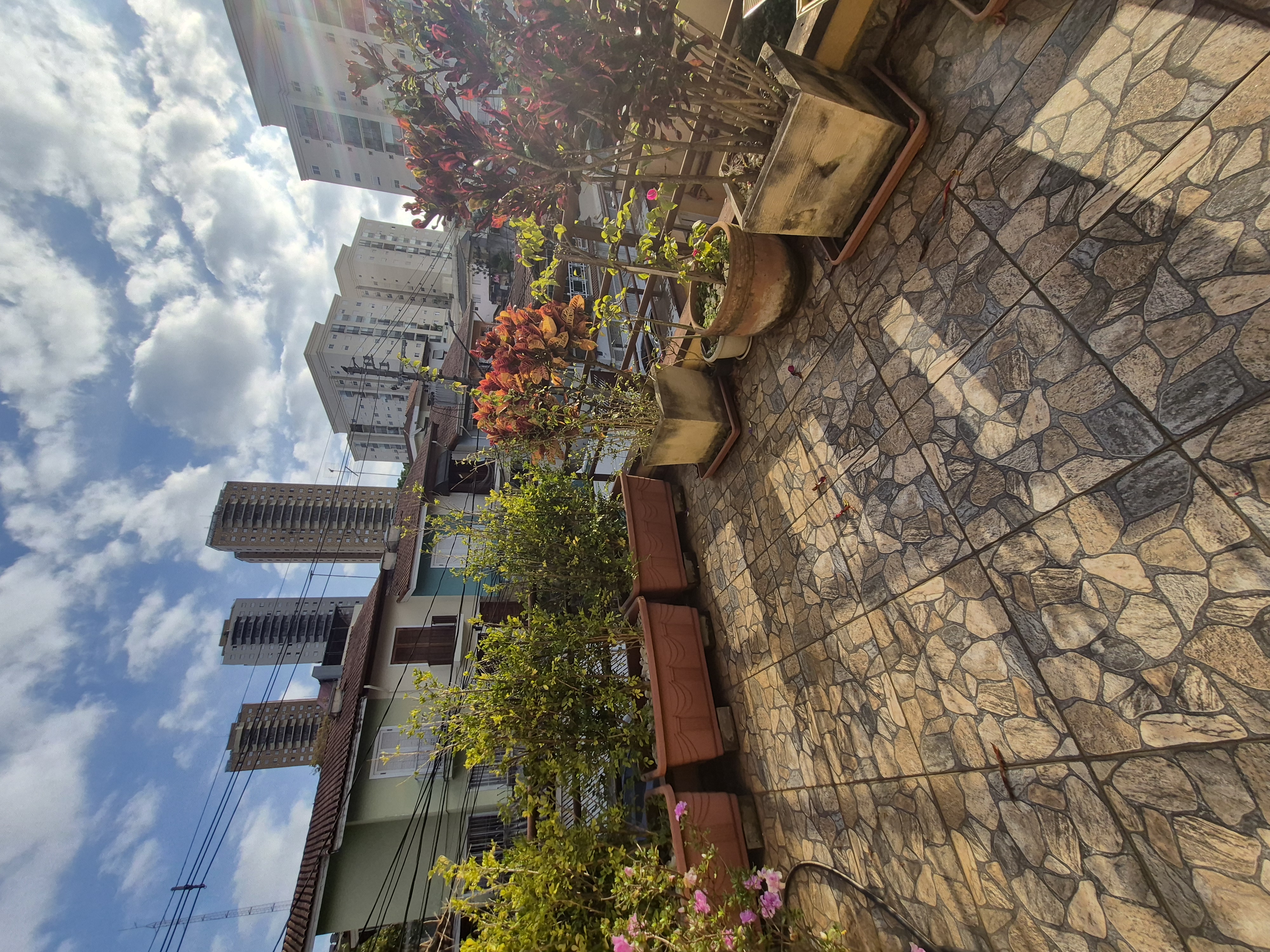 ACUPUNTURA EQUILIBRIO · Biomédico(a) · São Paulo - SP · foto 12